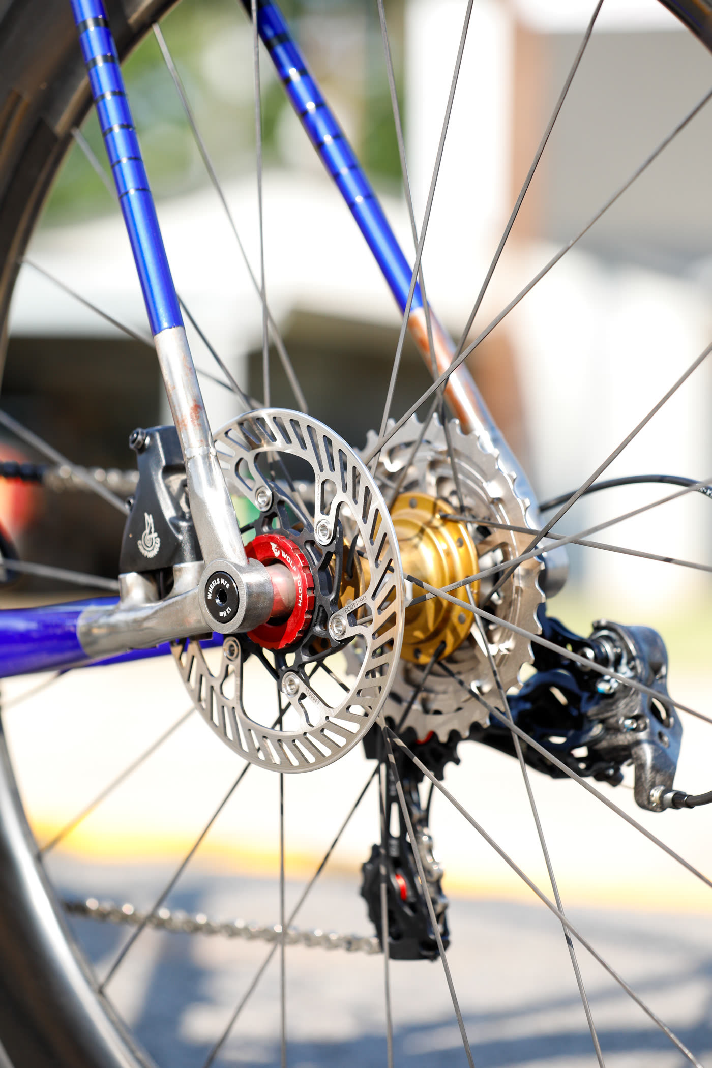 Rear hub, rotor and cassette - drivetrain detail