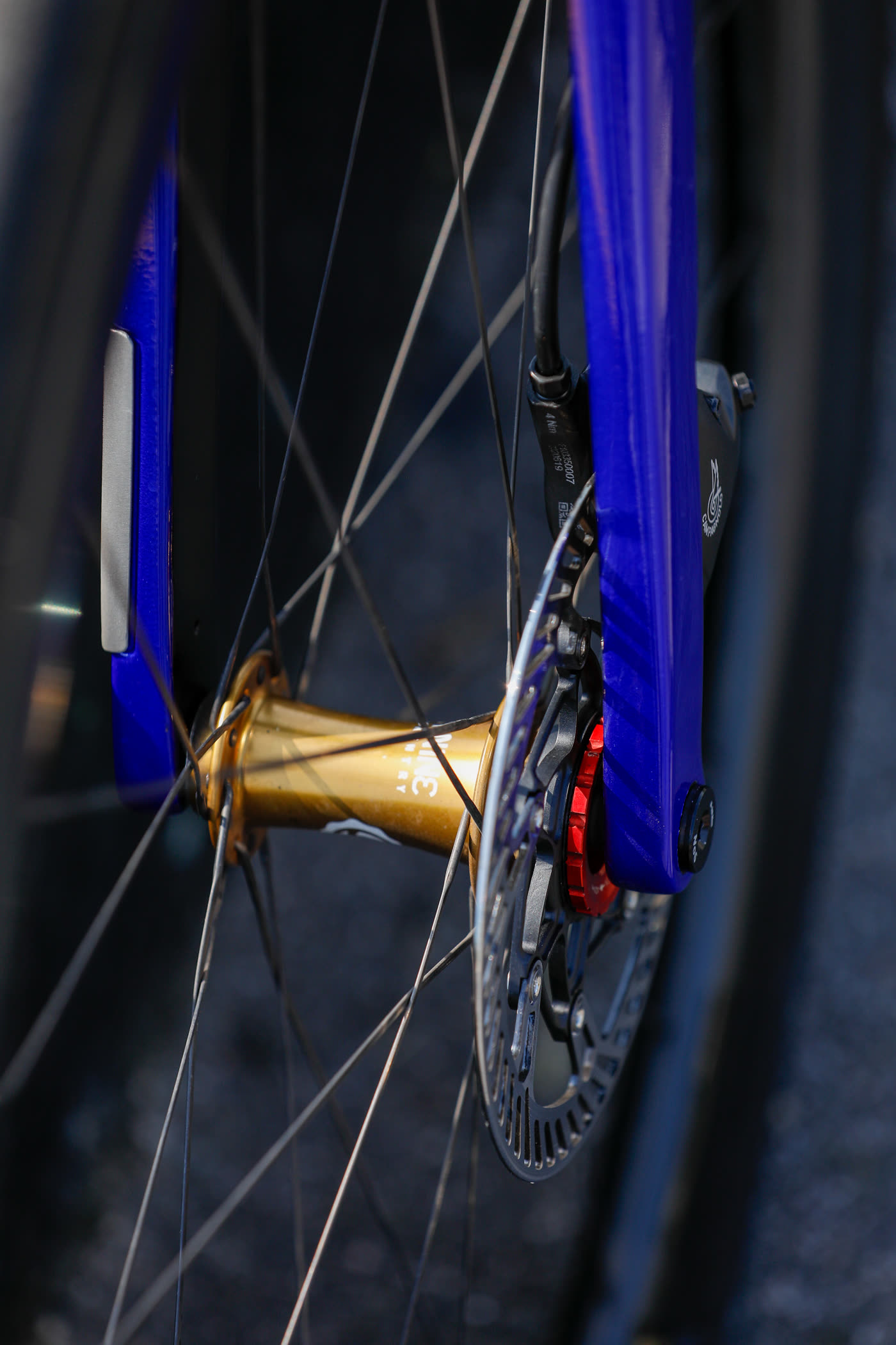 Fork blade, hub and rotor through the front wheel