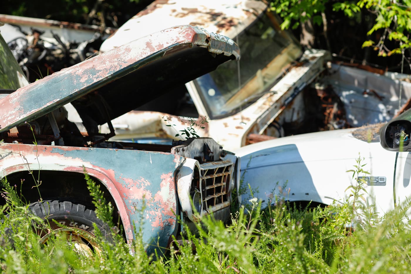 Rusted out pickup truck at the junkyard