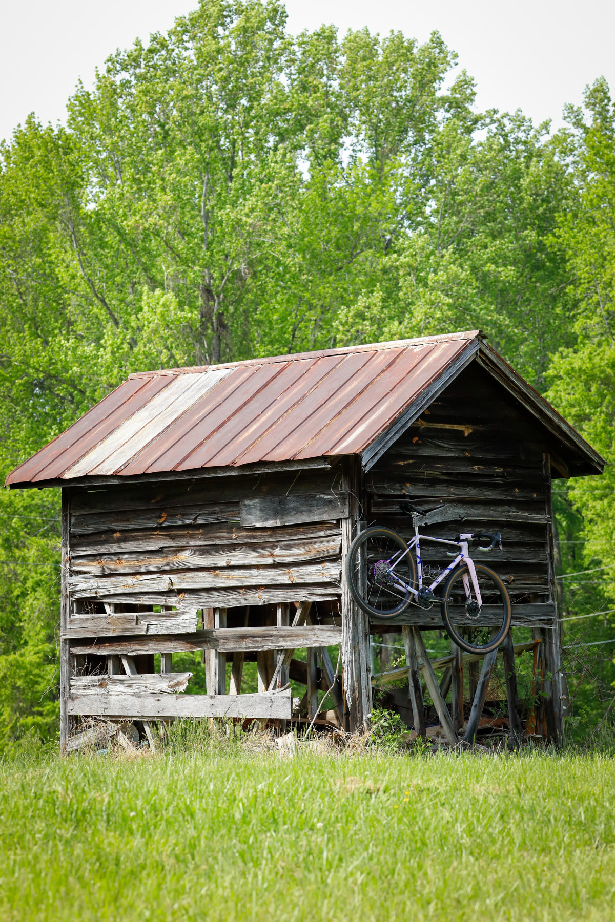 The 401 leaned against a weathered wooden barn shed