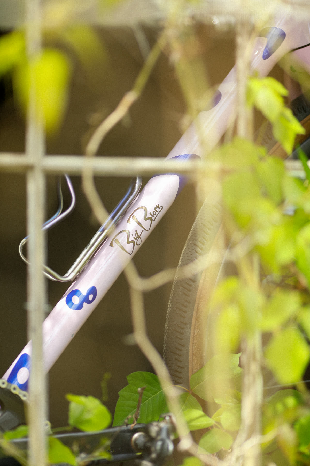 401 down tube through tangled vines - Big Block script detail