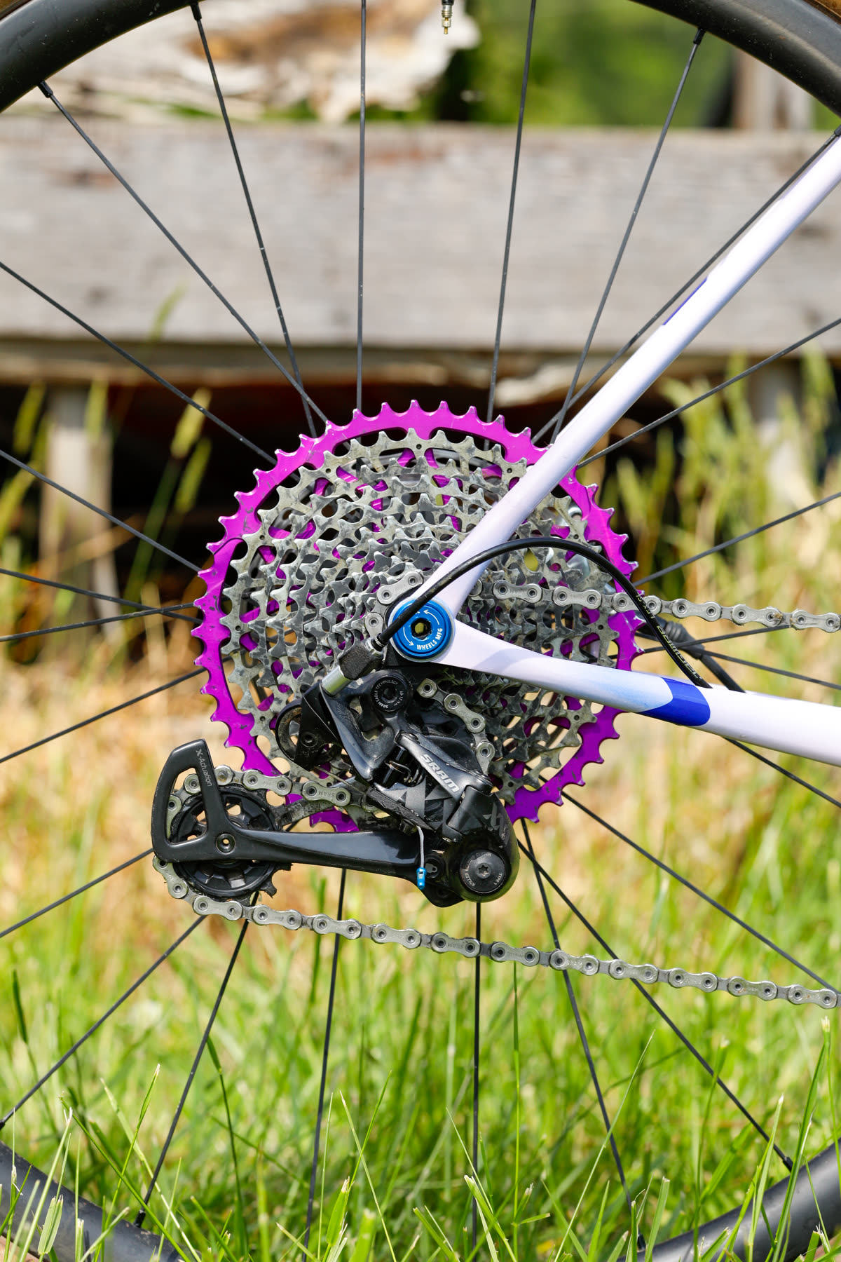 Purple cassette and rear derailleur - drivetrain detail