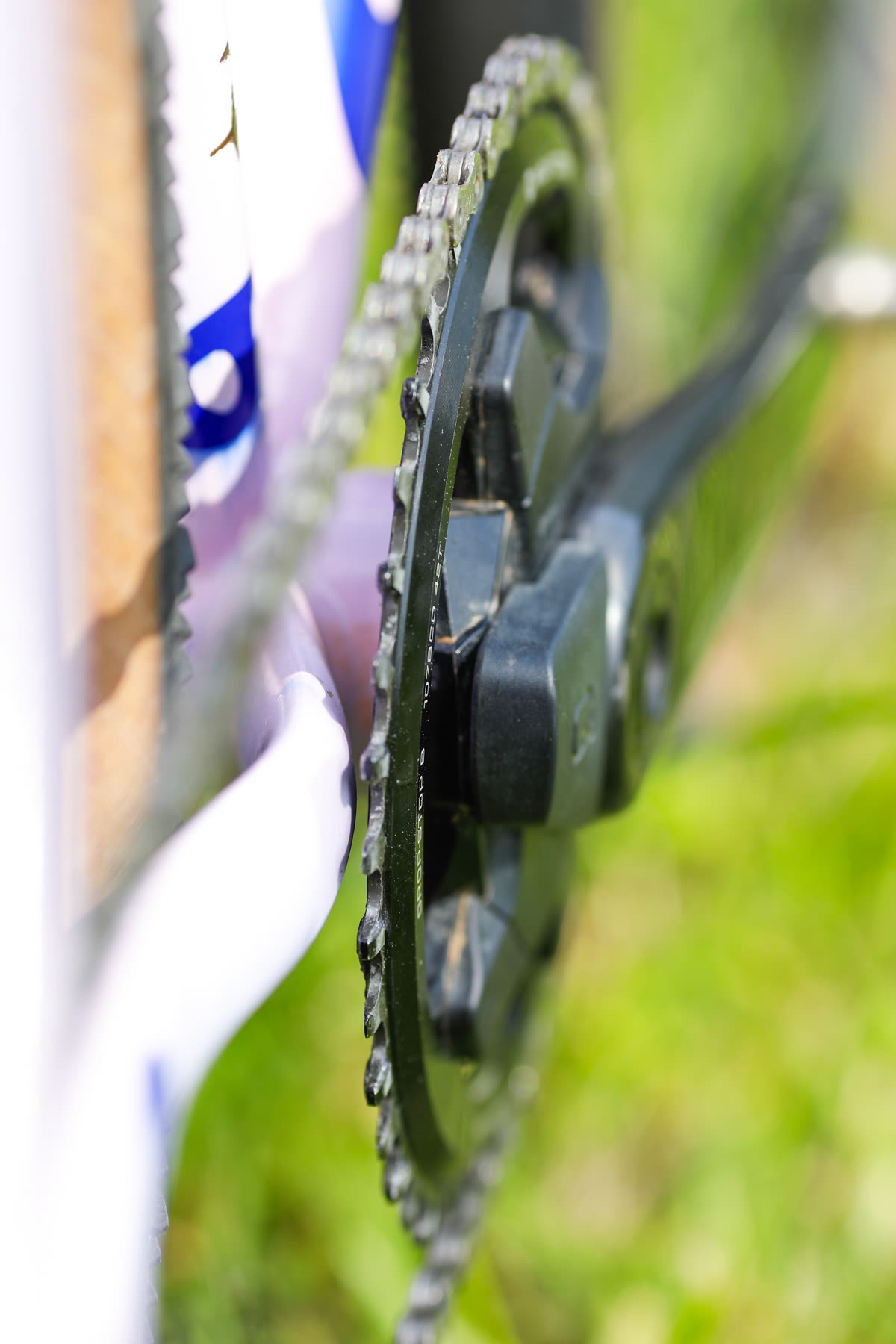 Chainring and chain detail - 1x drivetrain